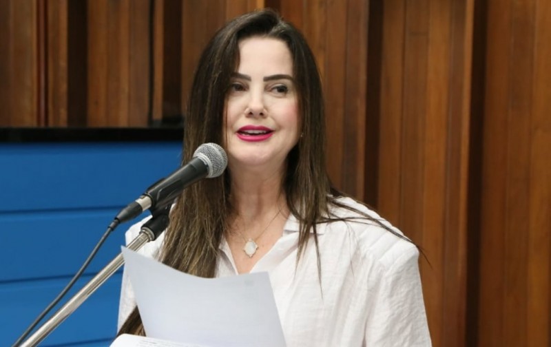 Mara Caseiro pede apoio do Estado para agricultores de Paraíso das Águas  