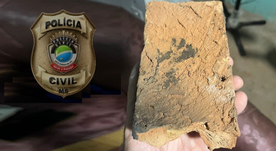 Mulher mata marido a tijolada e é solta por agir em legítima defesa