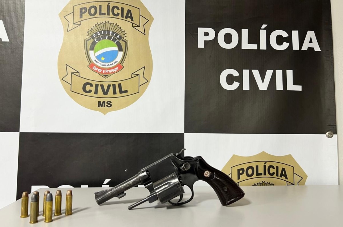 DAM de Naviraí prende homem por posse irregular de arma após cumprimento de mandado judicial 