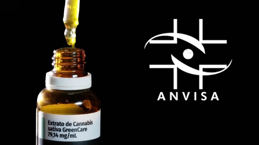 Anvisa aprova cultivo de cannabis por empresas e amplia acesso