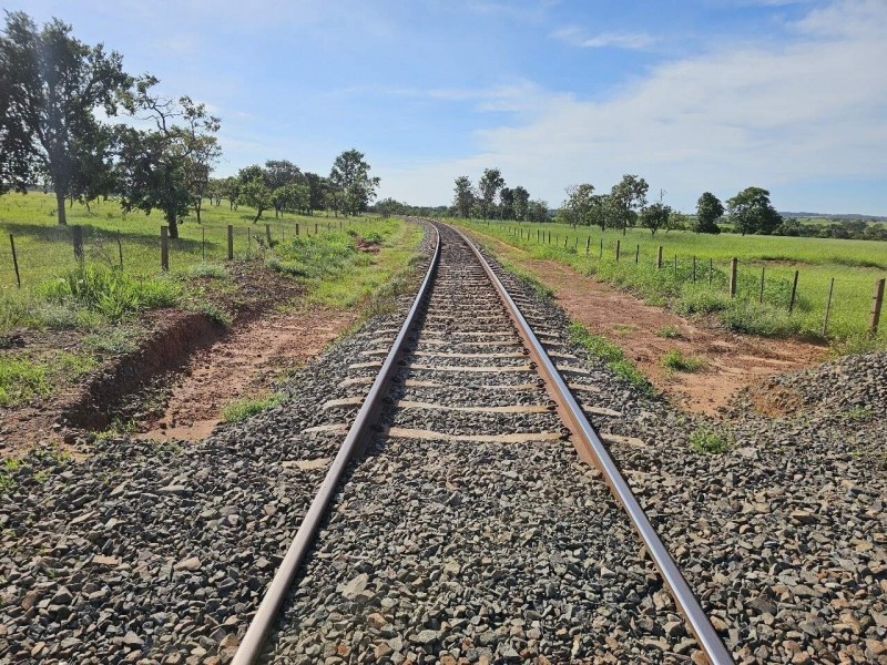 Fábrica de celulose recebe licença para implantar ramal ferroviário em Inocência