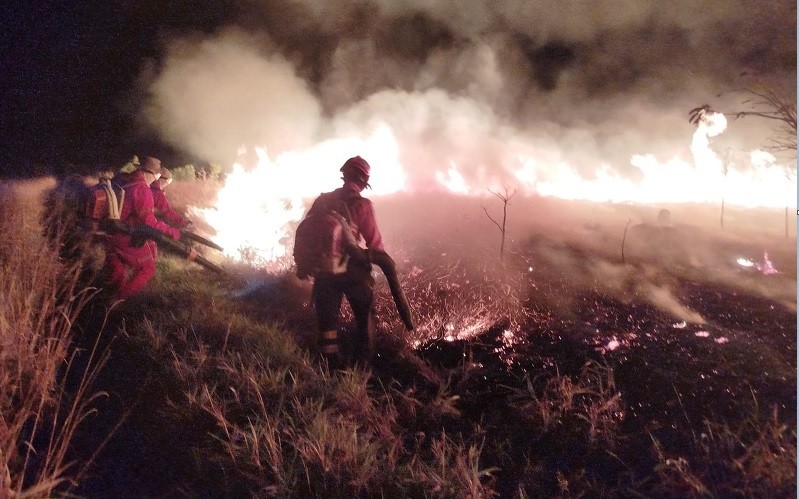 Operação Pantanal: atuação do Corpo de Bombeiros contribui para controle de incêndio em parque estadual de MS