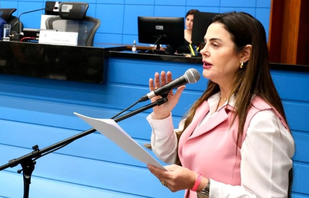 Mara Caseiro propõe redutor de velocidade na BR-163 em São Gabriel d´Oeste 